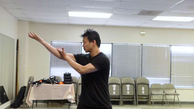 Bagua Zhang Basic Piercing Palm & Change Palm
