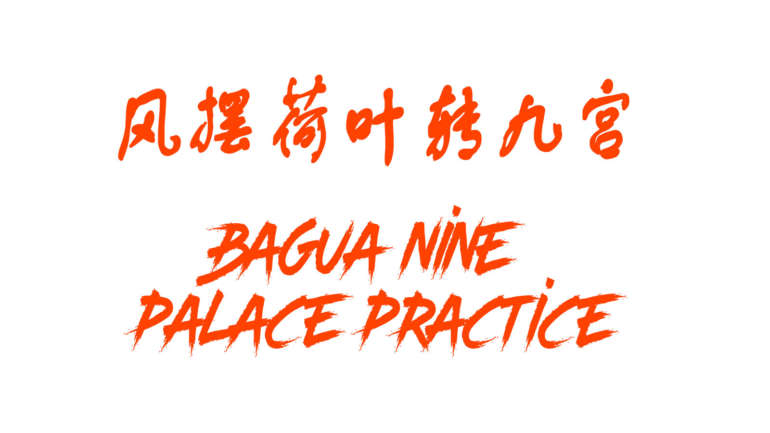 Very Rare & High-Level Bagua Footage – Huang Wan Xiang, 1980